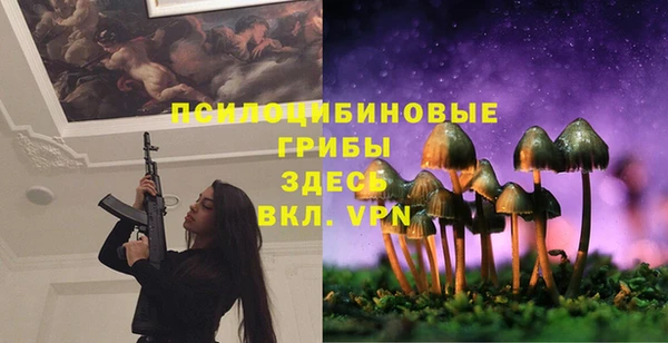 гидропоника Богданович
